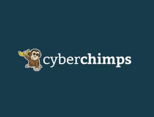 cyberchimps coupon codes